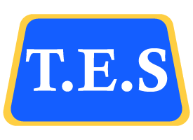 Logo TES